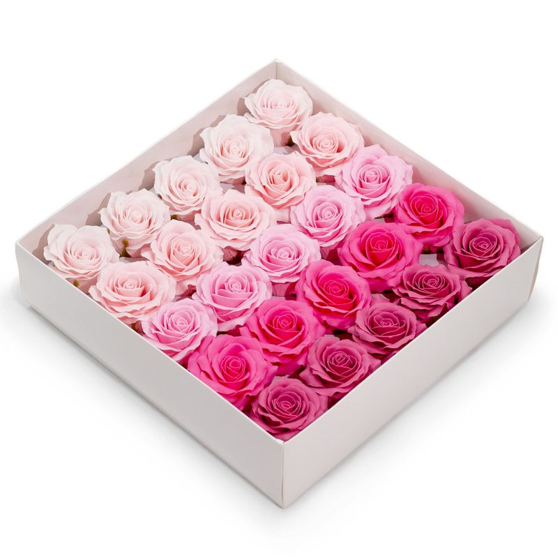 Seifenblume (5-lagig) Romantische Rose – abgestufte Auswahl – Rosa Blush
