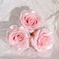 Seifenblume (5-lagig) Nur dekorative Rose – Seidenbesatz – Zartrosa