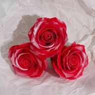 Seifenblume (5-lagig) Nur dekorative Rose – mit Seidenbesatz – Mattiertes Rubinrot