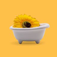 Seifenblume zum Basteln – Jumbo-Sonnenblumen – (14 cm)