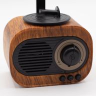Retro-Mini-Grammophon-Lautsprecher – Bluetooth & FM-Radio – 1 x 5 Watt