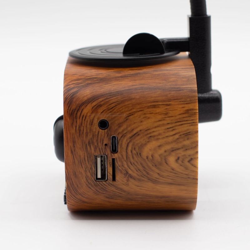 Retro-Mini-Grammophon-Lautsprecher – Bluetooth & FM-Radio – 1 x 5 Watt