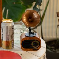 Retro-Mini-Grammophon-Lautsprecher – Bluetooth & FM-Radio – 1 x 5 Watt