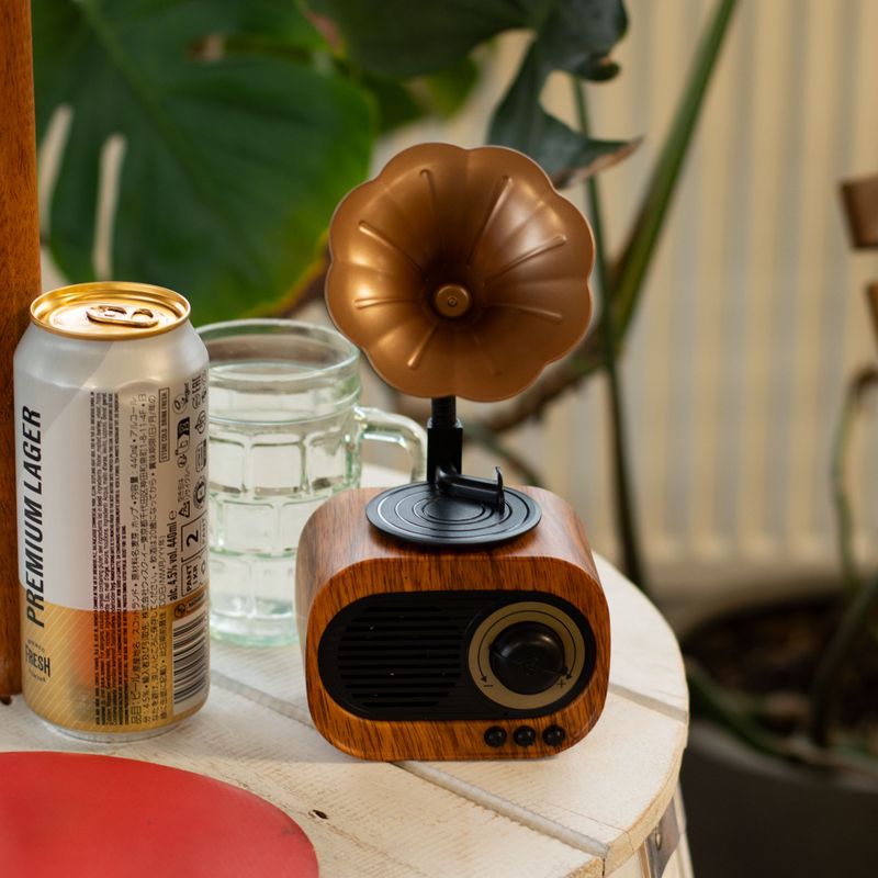 Retro-Mini-Grammophon-Lautsprecher – Bluetooth & FM-Radio – 1 x 5 Watt
