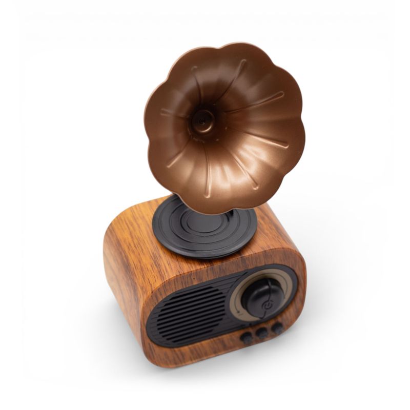 Retro-Mini-Grammophon-Lautsprecher – Bluetooth & FM-Radio – 1 x 5 Watt