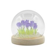 Floral Glow Gartenkuppel – 20 Tulpen – LED-USB