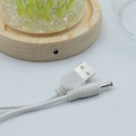 Floral Glow Gartenkuppel – 20 Tulpen – LED-USB
