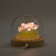 Floral Glow Gartenkuppel – 20 Tulpen – LED-USB