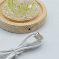 Floral Glow Gartenkuppel – 10 rosa Rosen – LED-USB