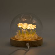 Floral Glow Gartenkuppel – 10 rosa Rosen – LED-USB