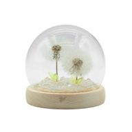 Floral Glow Gartenkuppel – 2 Löwenzahnblüten – LED-USB