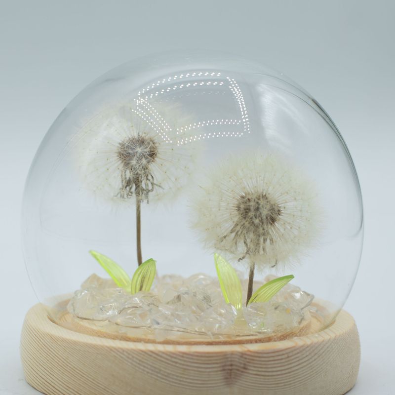 Floral Glow Gartenkuppel – 2 Löwenzahnblüten – LED-USB