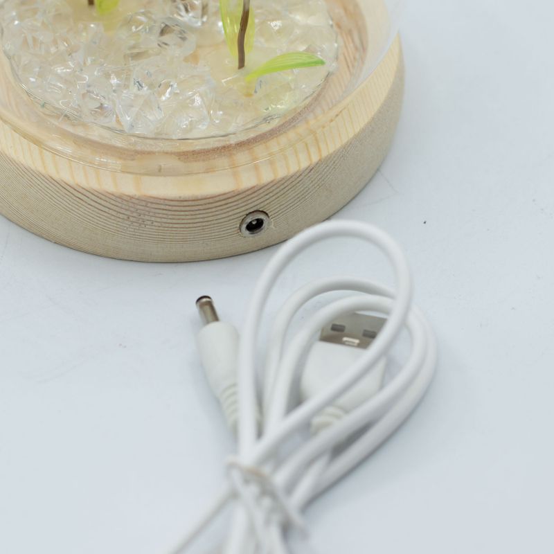 Floral Glow Gartenkuppel – 2 Löwenzahnblüten – LED-USB