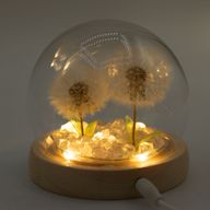 Floral Glow Gartenkuppel – 2 Löwenzahnblüten – LED-USB