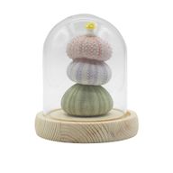 Floral Glow Gartenkuppel – 3 Seeigel – LED-USB