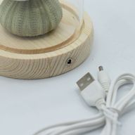 Floral Glow Gartenkuppel – 3 Seeigel – LED-USB