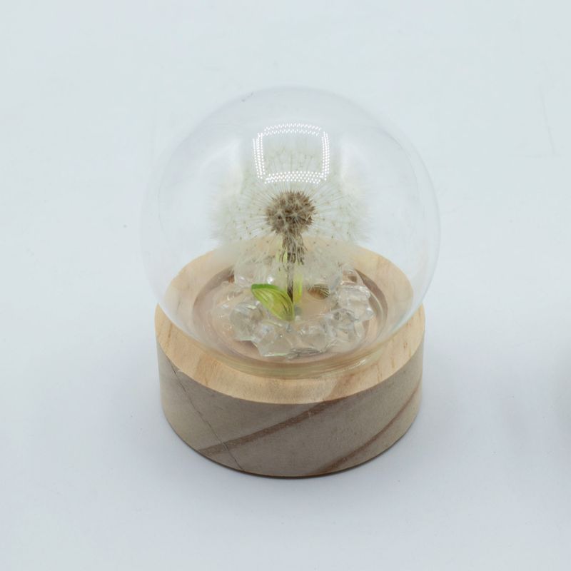 Floral Glow Gartenkuppel – 1 Löwenzahn – LED-Batterie
