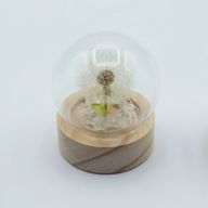 Floral Glow Gartenkuppel – 1 Löwenzahn – LED-Batterie