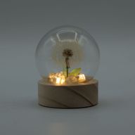 Floral Glow Gartenkuppel – 1 Löwenzahn – LED-Batterie