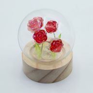 Floral Glow Gartenkuppel – 5 rote Rosen – LED-Batterie