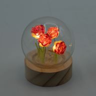 Floral Glow Gartenkuppel – 5 rote Rosen – LED-Batterie