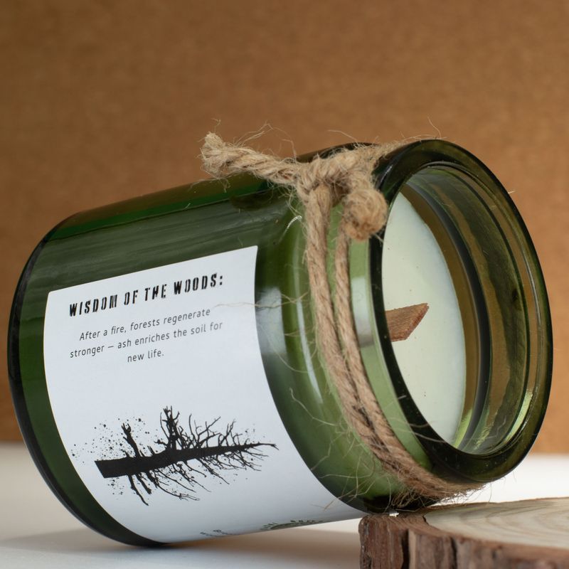 Woodwick Sojawachskerze - Asche & Holzrauch