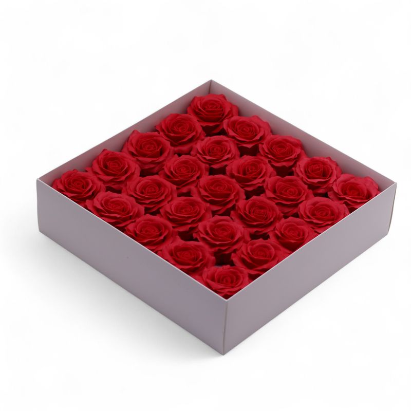 Seifenblume (5-lagig) Romantische Rose - Rot
