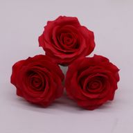 Seifenblume (5-lagig) Romantische Rose - Rot