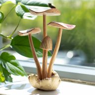 Handgefertigte Parasiten-Holzkunst-Schnitzerei - Set aus 4 großen Pilzen
