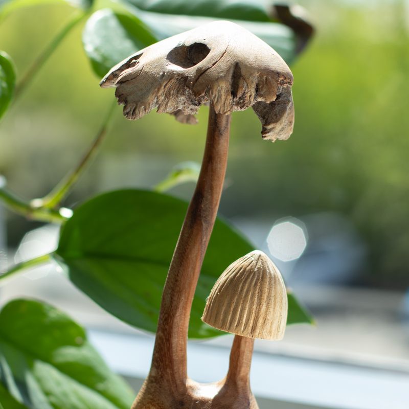 Handgefertigte Parasiten-Holzkunst-Schnitzerei - Set aus zwei Pilzen