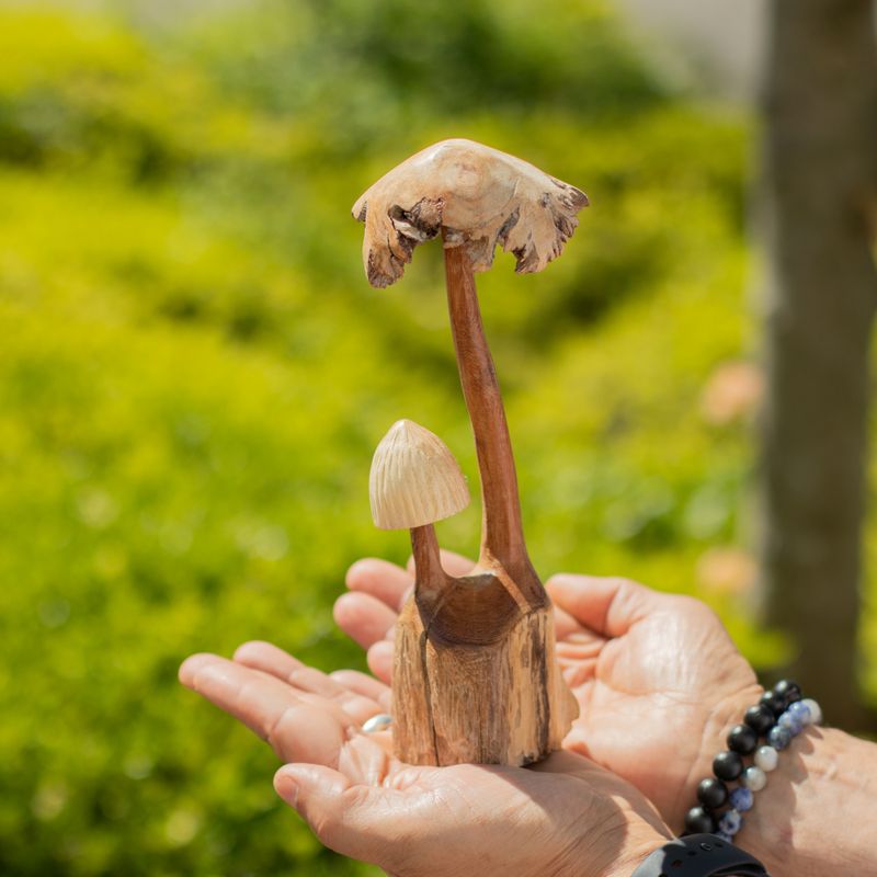 Handgefertigte Parasiten-Holzkunst-Schnitzerei - Set aus zwei Pilzen