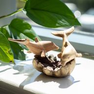 Handgefertigte Parasiten-Holzkunst-Schnitzerei - Delfine beim Spielen