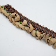 Kenari-Muschel-Ankelschüttler - Rasselarmband (20 Muscheln)