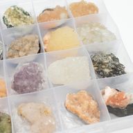Mineralproben - 24 Stück gemischter indischer Zeolithe in einer Vitrine