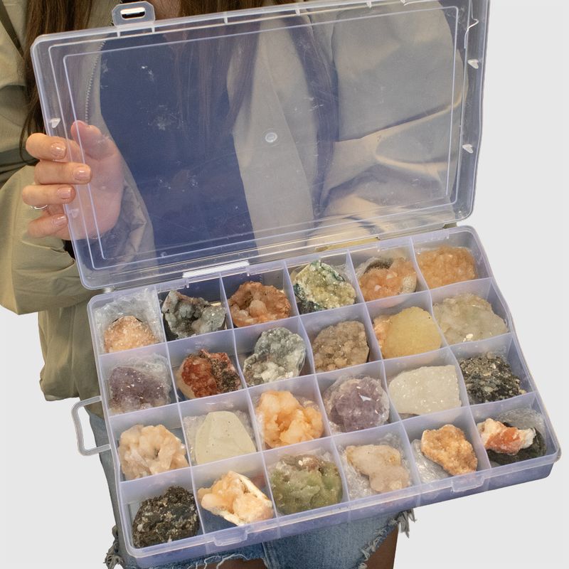 Mineralproben - 24 Stück gemischter indischer Zeolithe in einer Vitrine