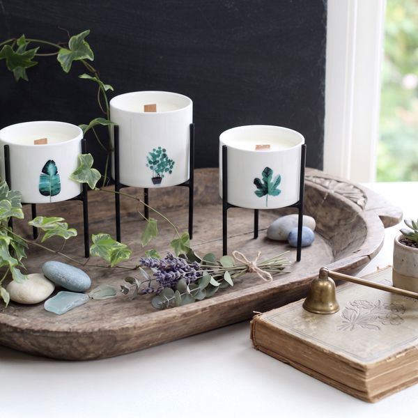 Sojawachskerzen mit Holzdocht und botanischen Düften