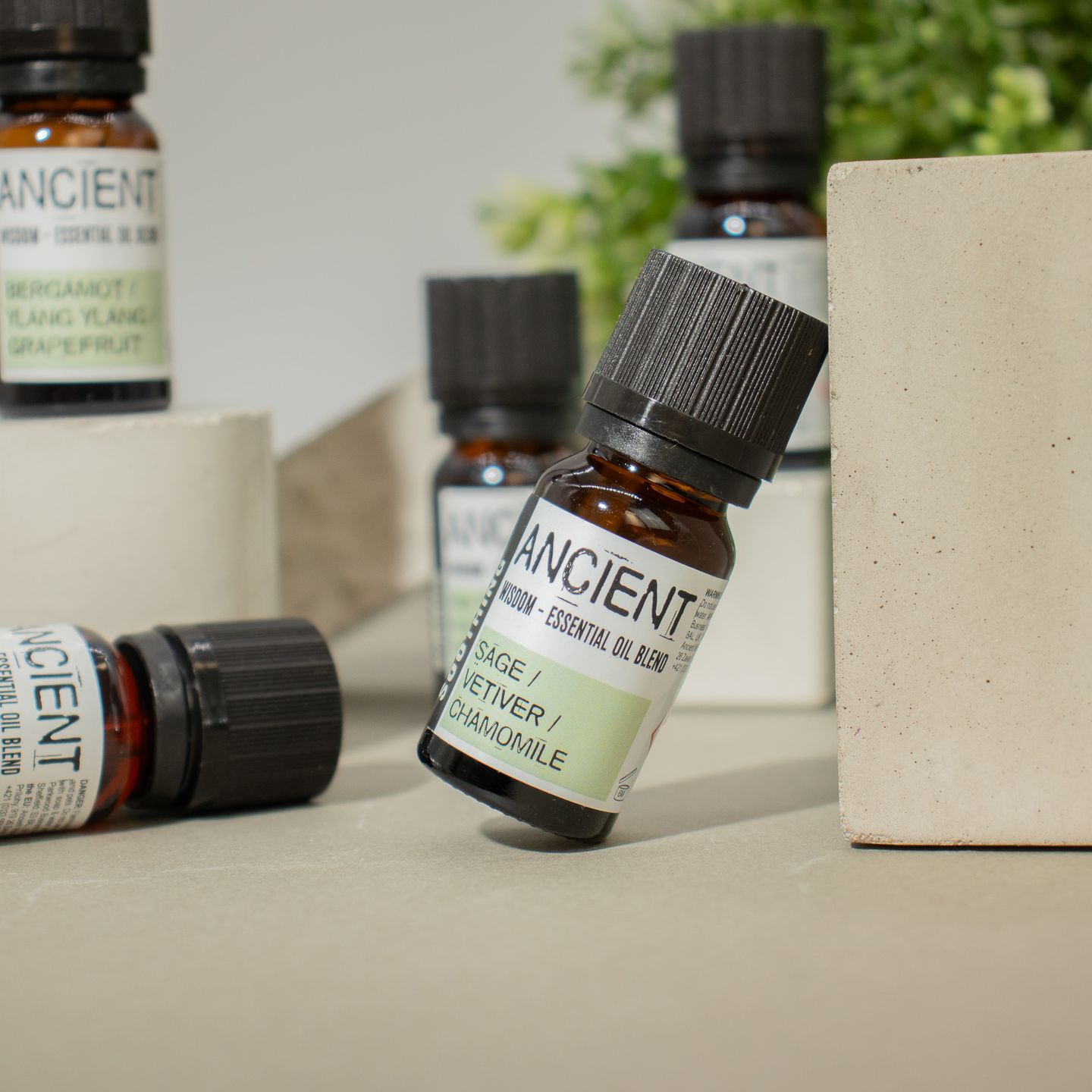 Premium ätherische Ölmischungen 10ml