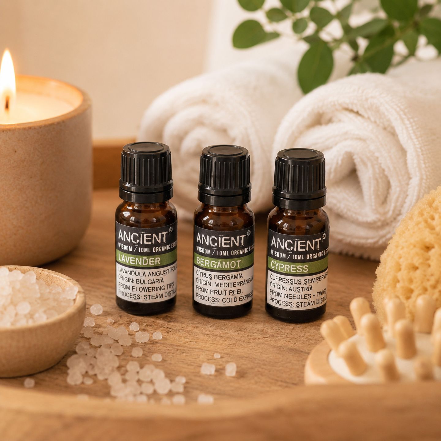 Bio ätherische Öle 10ml
