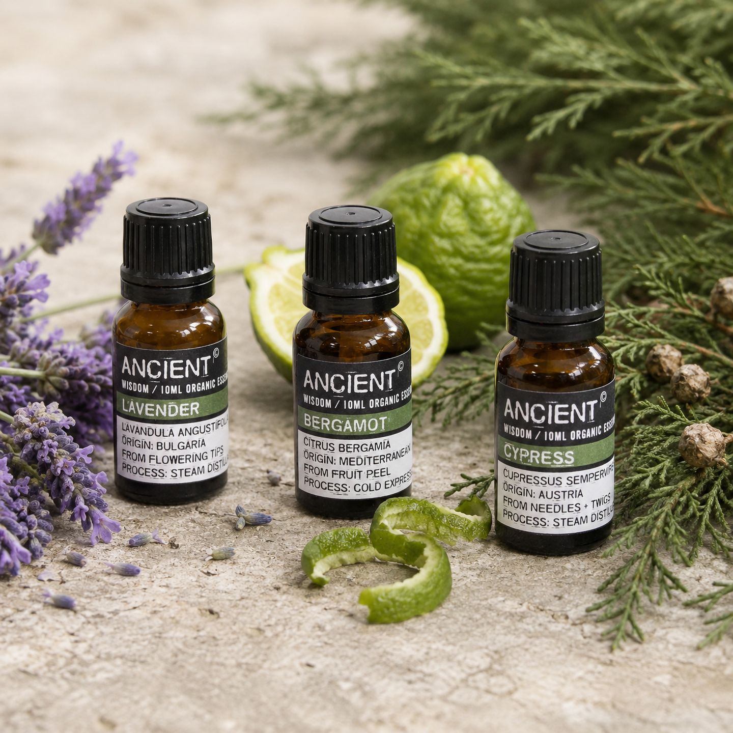 Bio ätherische Öle 10ml