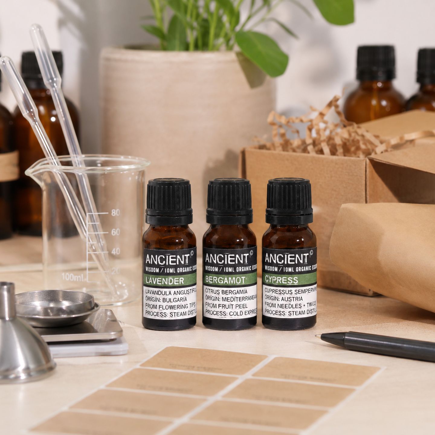 Bio ätherische Öle 10ml