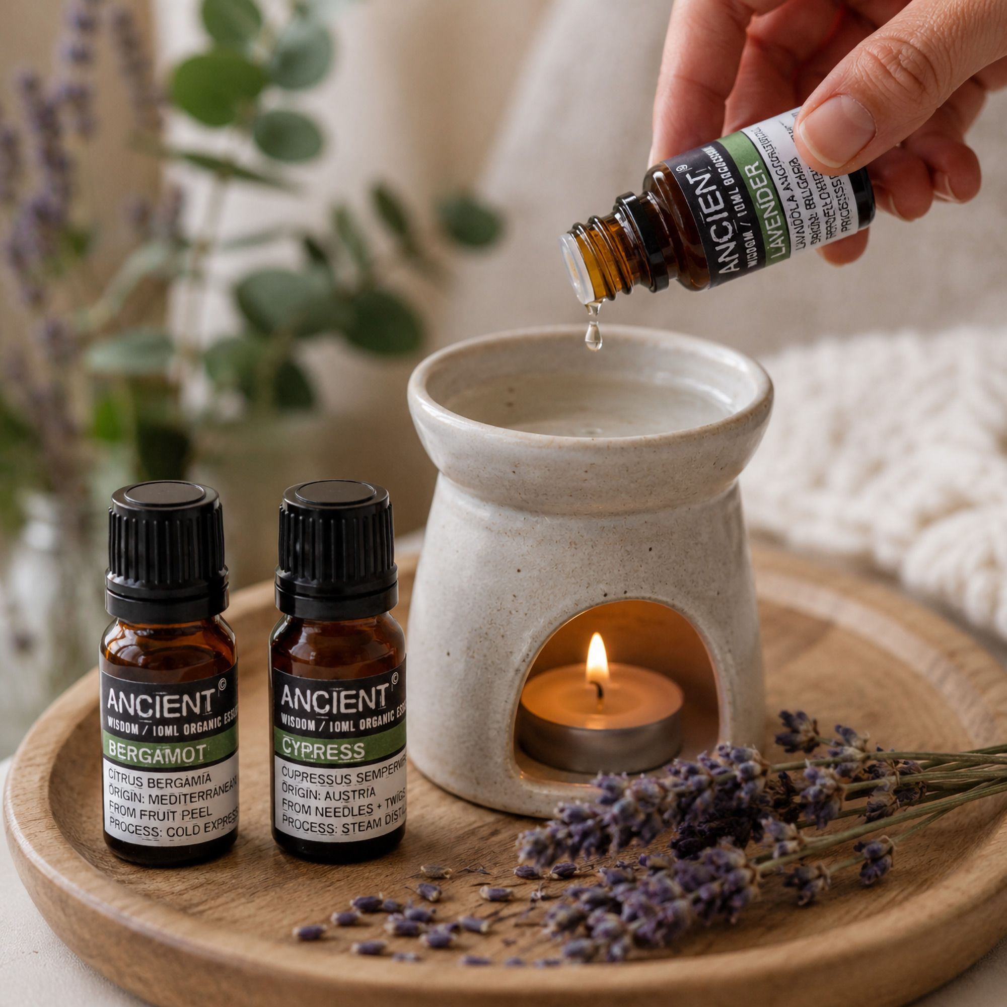 Bio ätherische Öle 10ml
