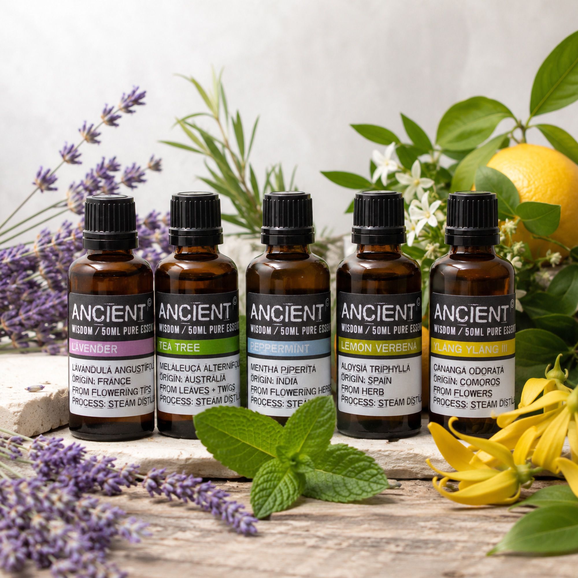 Professionelle ätherische Öle – 50 ml