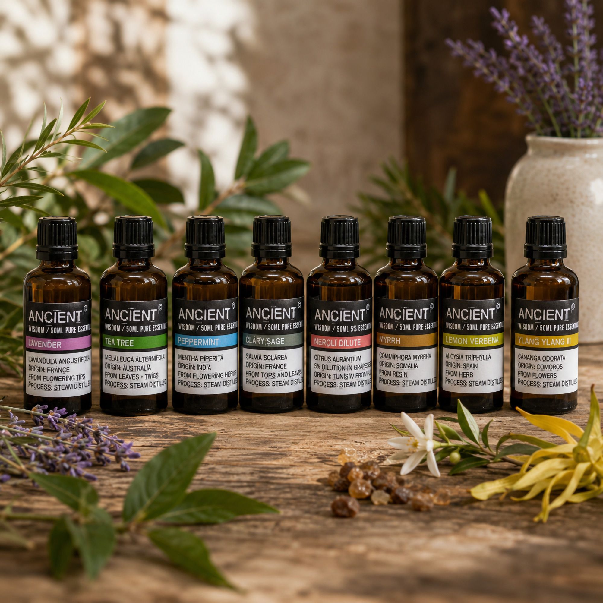 Professionelle biologische ätherische Öle – 50 ml