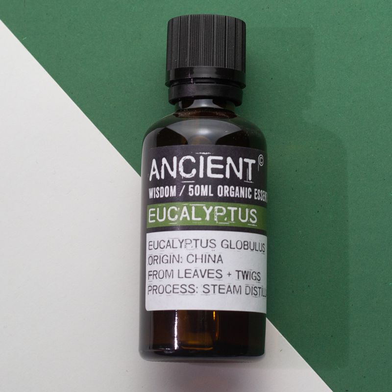 Bio-Eukalyptus-ätherisches Öl 50 ml
