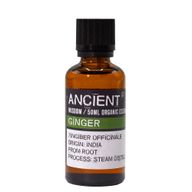 Ingwer Bio ätherisches Öl 50 ml