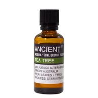 Bio-Teebaumöl ätherisches Öl 50 ml