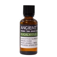 Bio-Eukalyptus-ätherisches Öl 50 ml