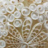 Boho-Muschel-Lampe - Cut Art-Muschel-Oval - 15 cm