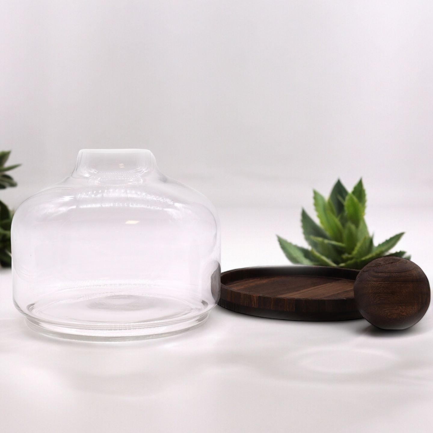 Terrarien aus Glas