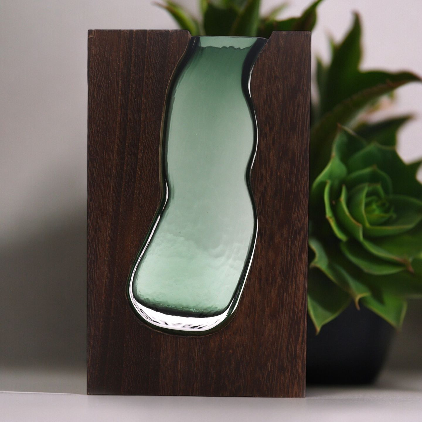 Terrarien aus Glas